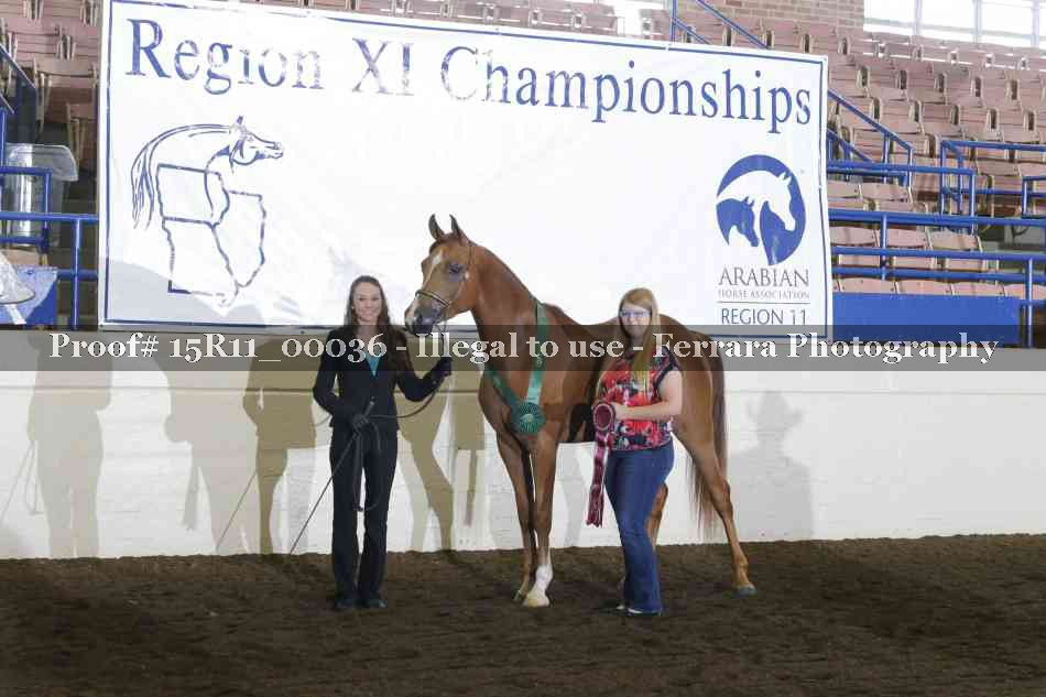 Proof Number 15R11_00036