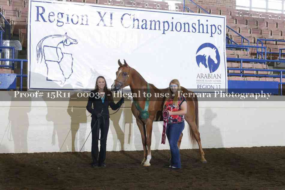 Proof Number 15R11_00037