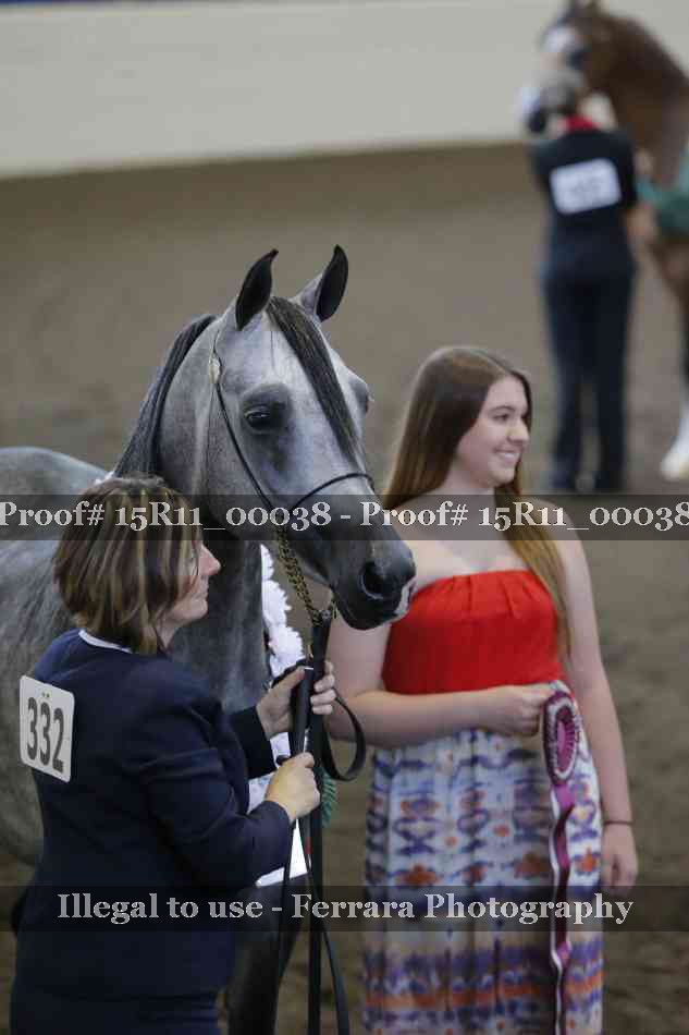 Proof Number 15R11_00038