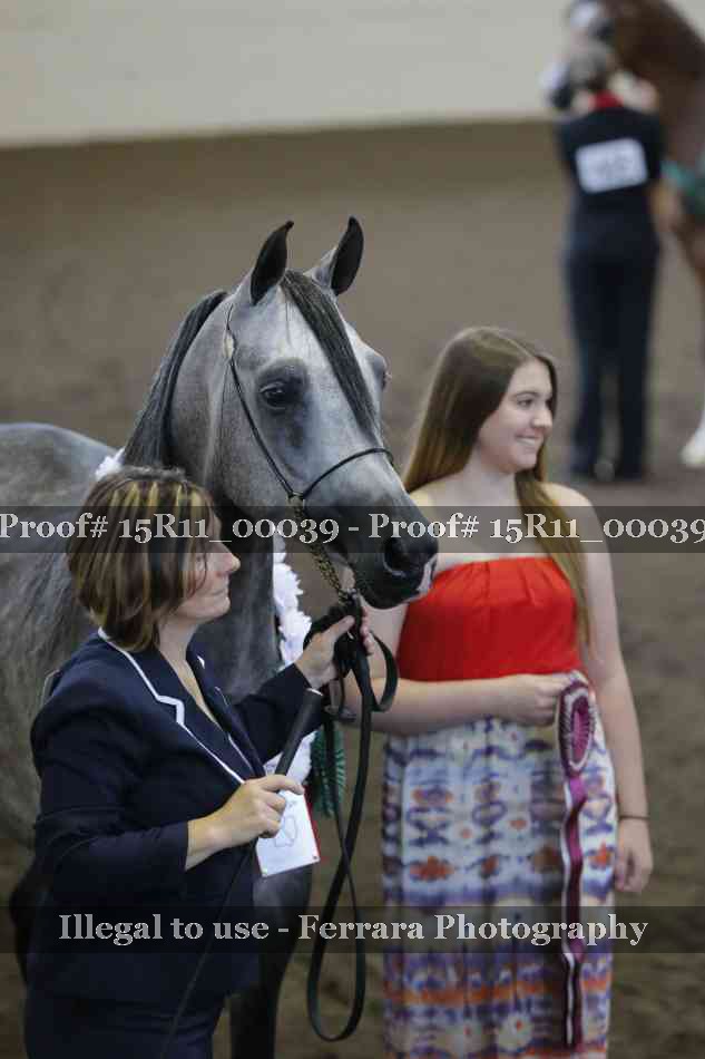 Proof Number 15R11_00039