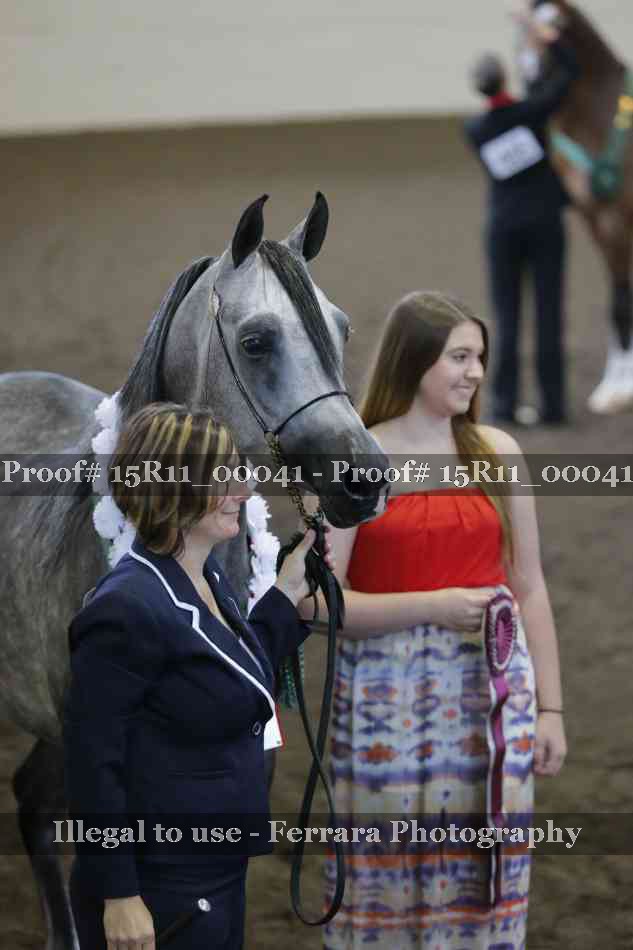 Proof Number 15R11_00041