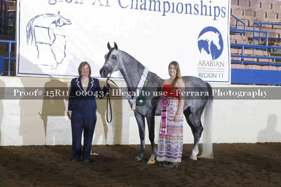 Proof Number 15R11_00043