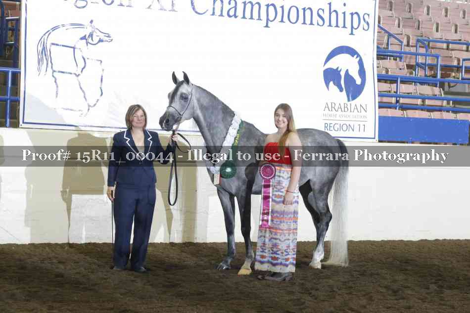 Proof Number 15R11_00044