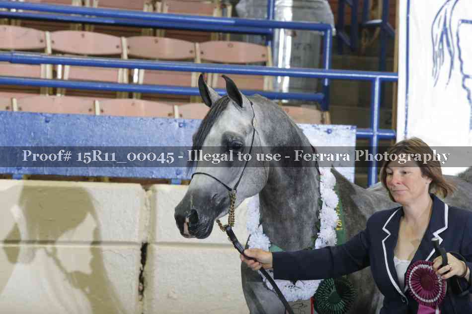 Proof Number 15R11_00045