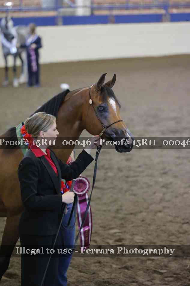 Proof Number 15R11_00046