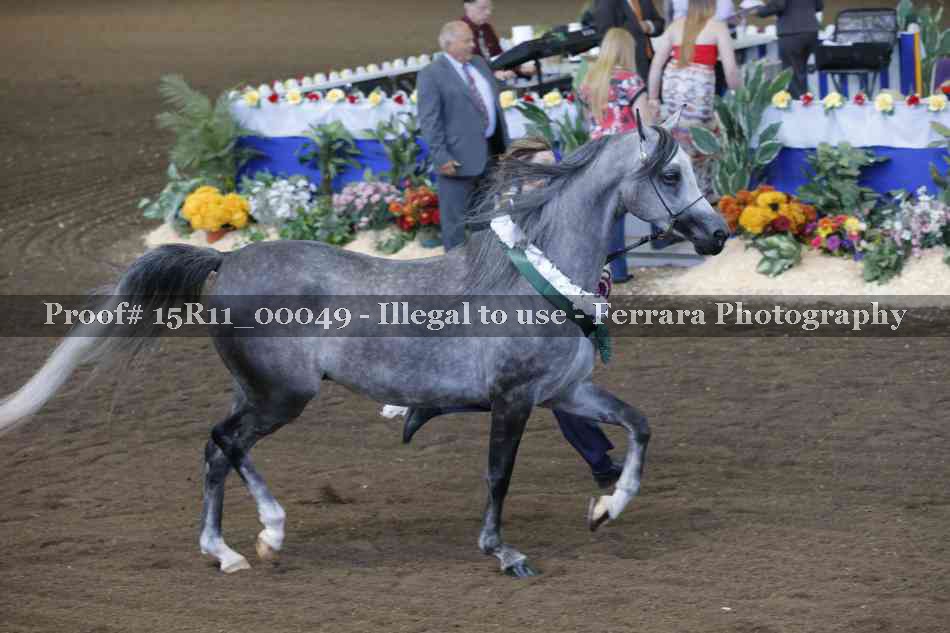 Proof Number 15R11_00049