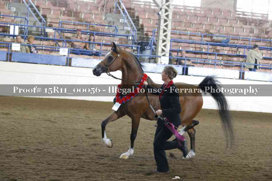 Proof Number 15R11_00056