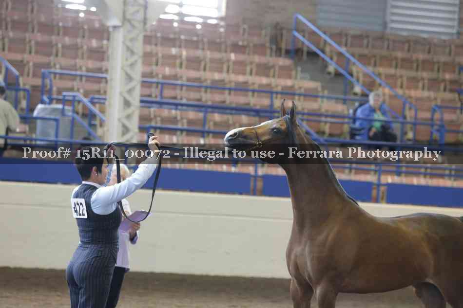 Proof Number 15R11_00072