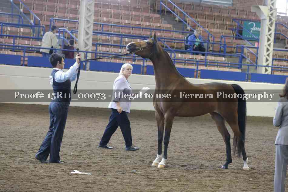 Proof Number 15R11_00073