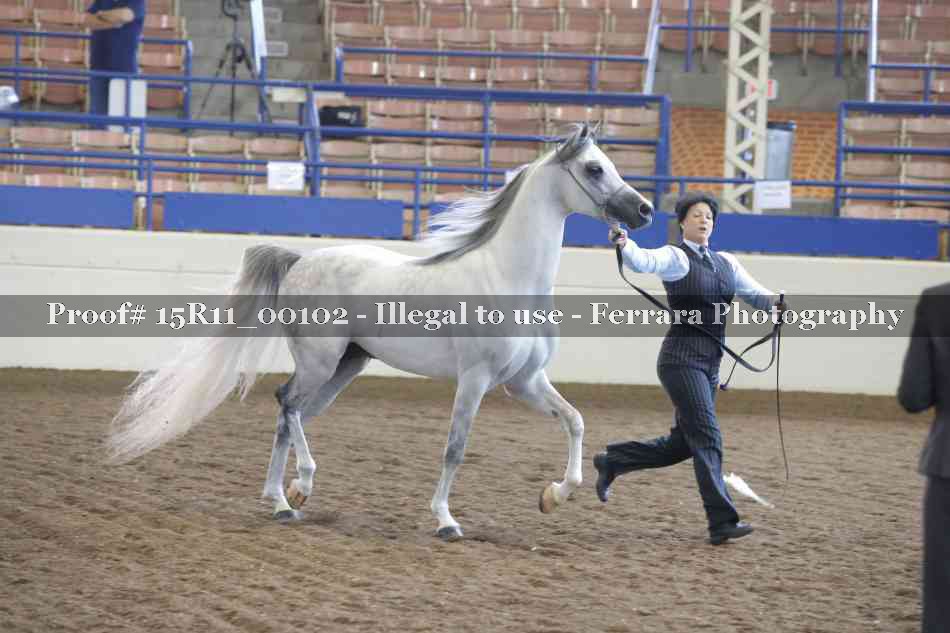 Proof Number 15R11_00102