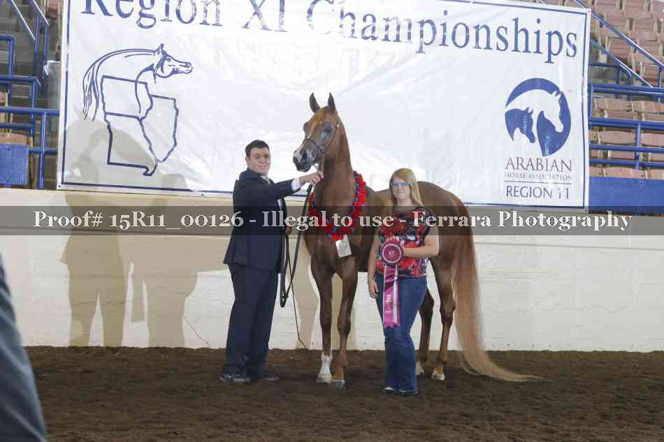 Proof Number 15R11_00126