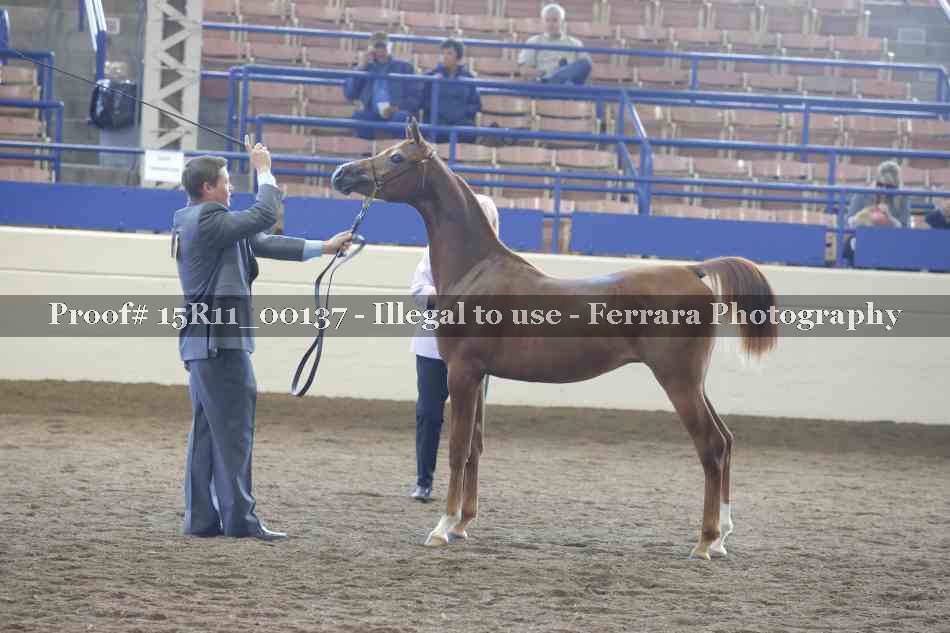 Proof Number 15R11_00137
