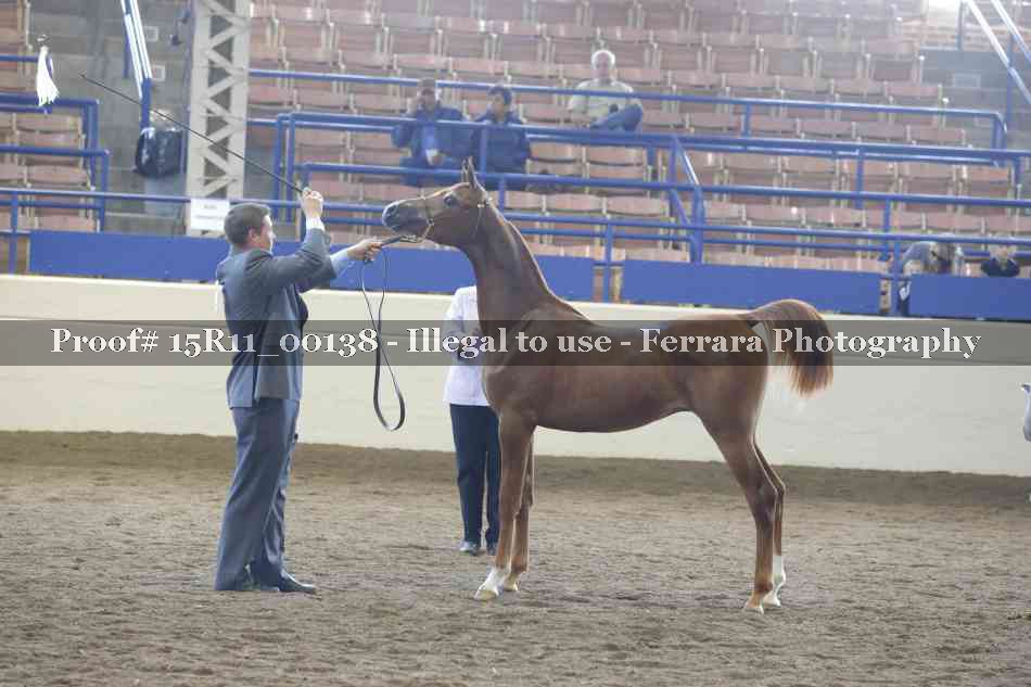Proof Number 15R11_00138