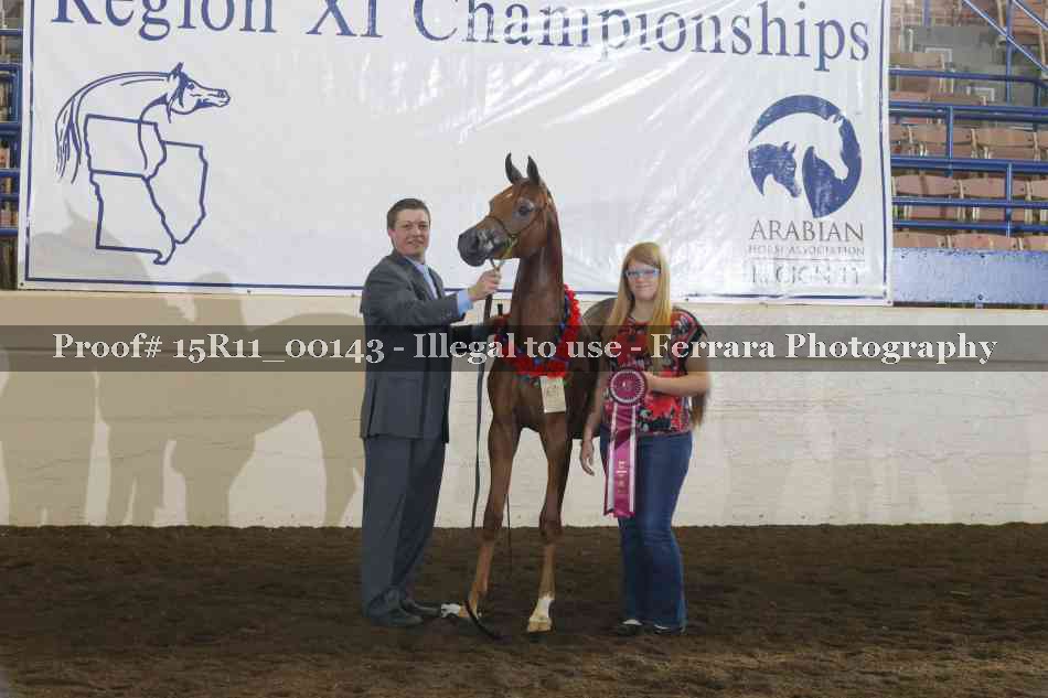 Proof Number 15R11_00143