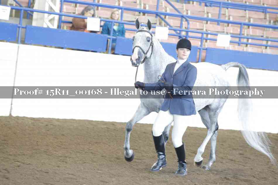 Proof Number 15R11_00168