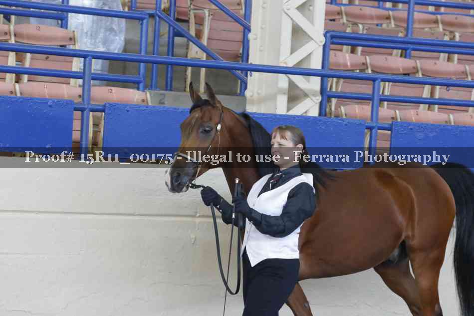 Proof Number 15R11_00175