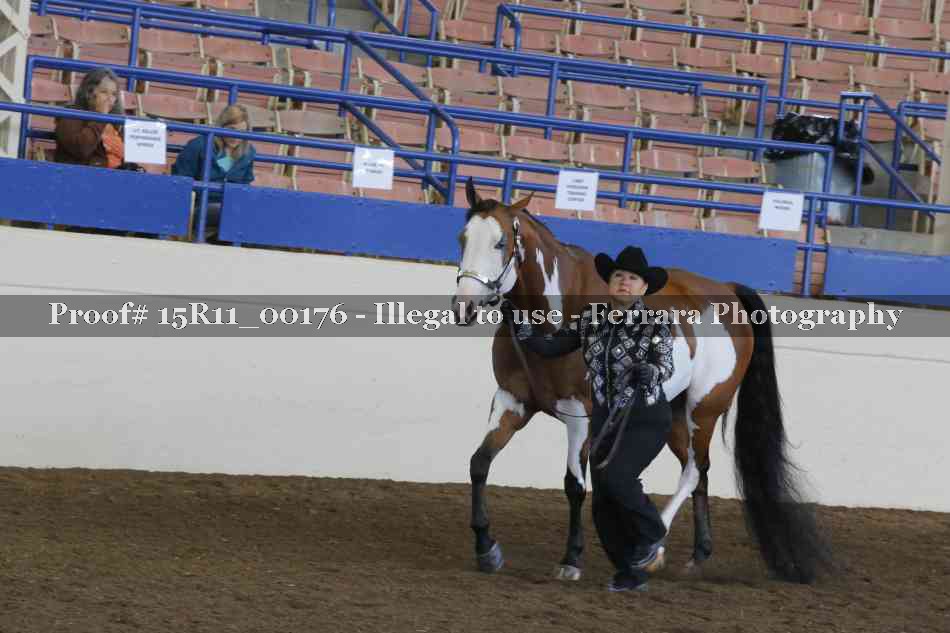 Proof Number 15R11_00176