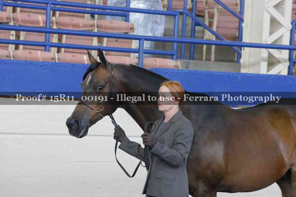 Proof Number 15R11_00191