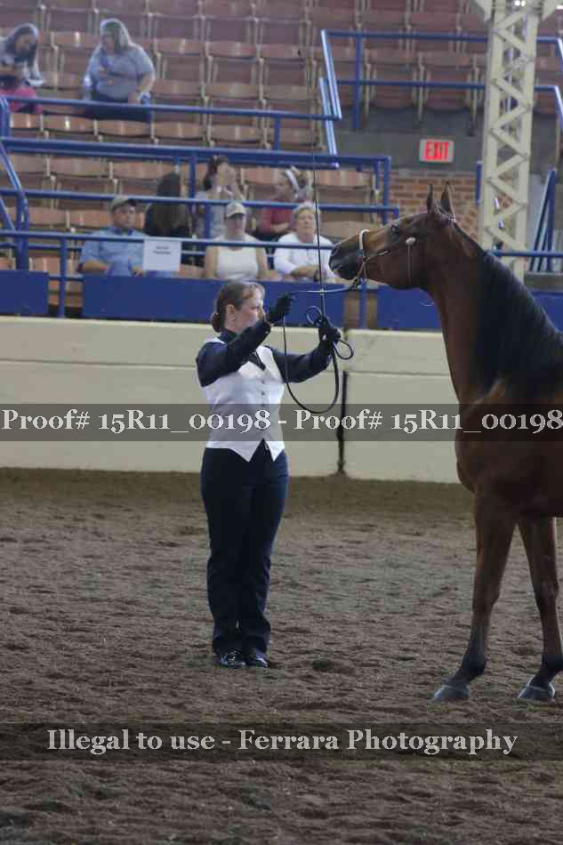Proof Number 15R11_00198