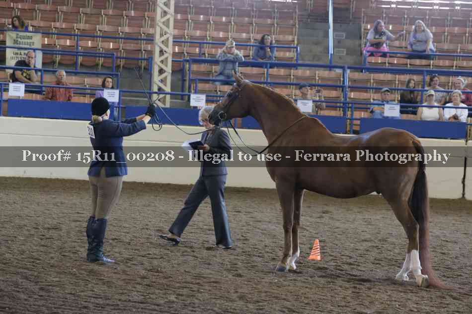 Proof Number 15R11_00208