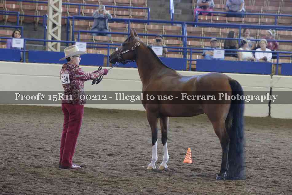 Proof Number 15R11_00212