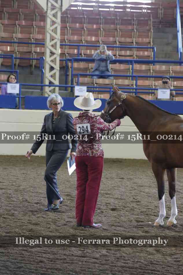 Proof Number 15R11_00214
