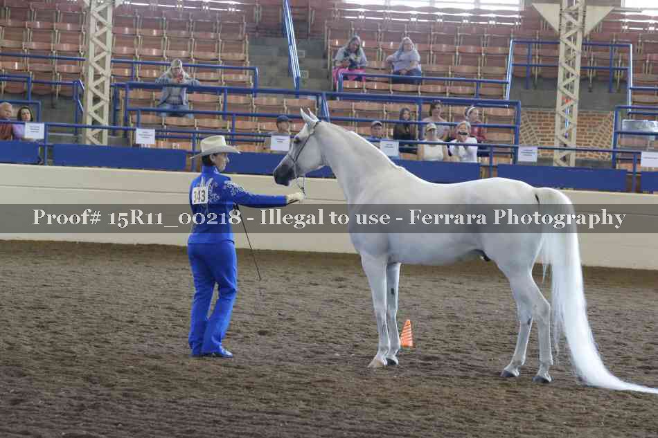 Proof Number 15R11_00218
