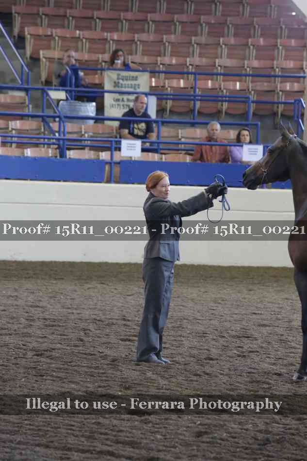 Proof Number 15R11_00221