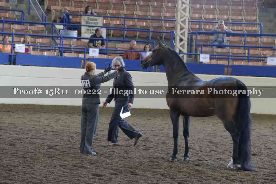 Proof Number 15R11_00222