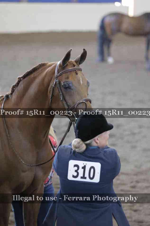 Proof Number 15R11_00223