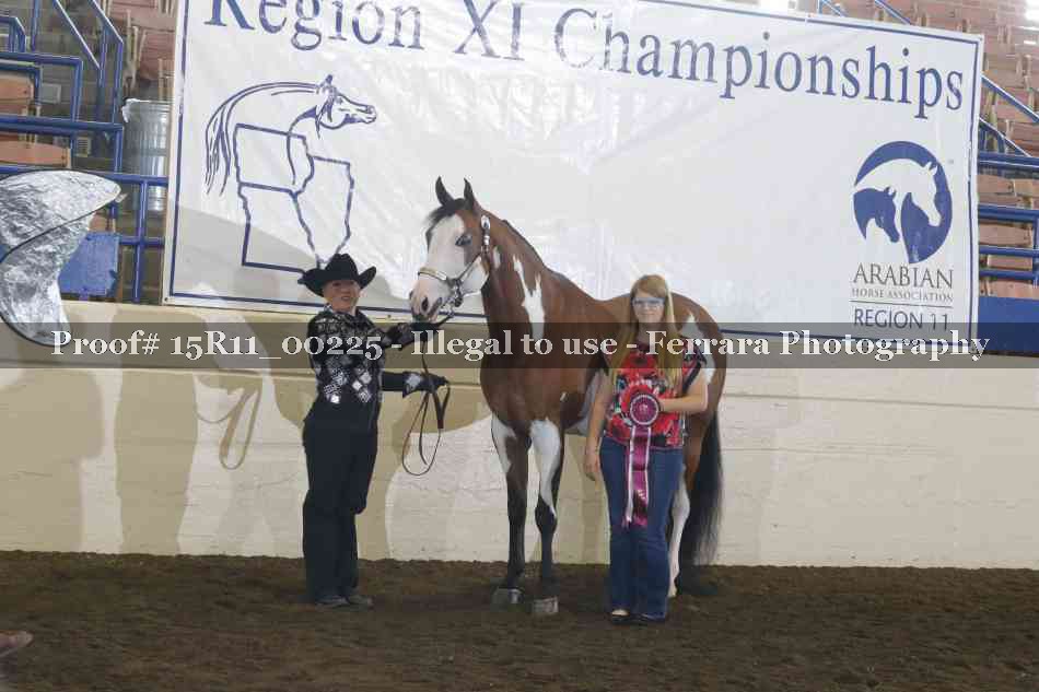 Proof Number 15R11_00225