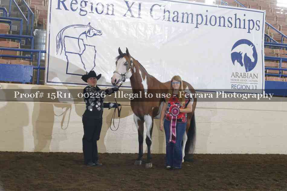 Proof Number 15R11_00226