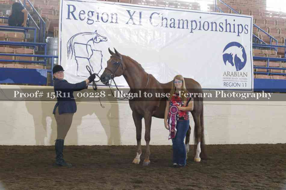 Proof Number 15R11_00228