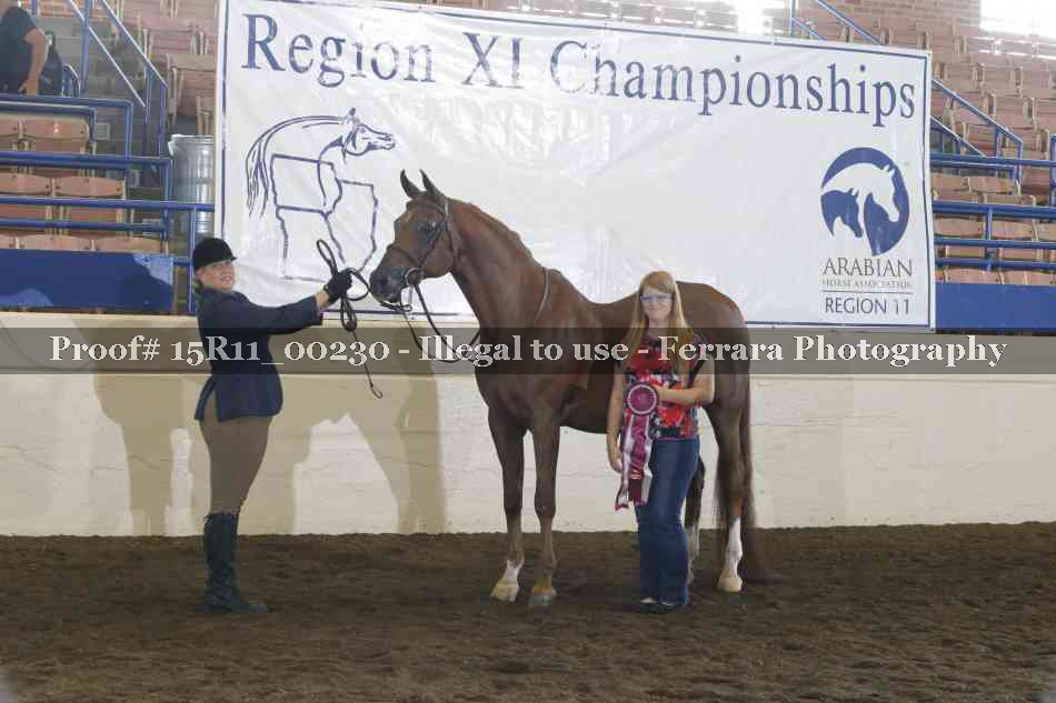 Proof Number 15R11_00230