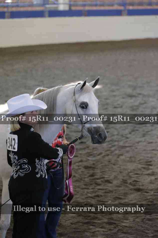 Proof Number 15R11_00231