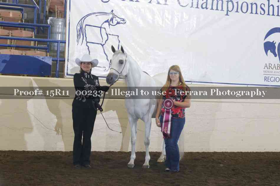 Proof Number 15R11_00233