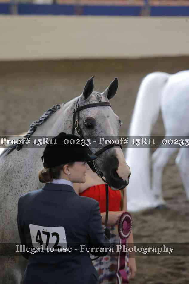 Proof Number 15R11_00235