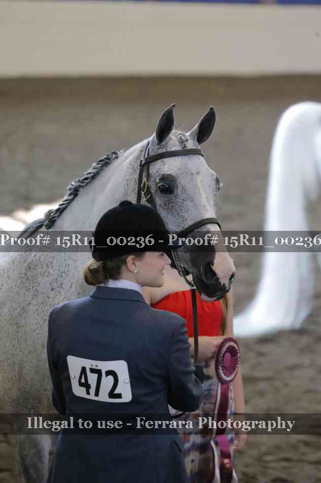 Proof Number 15R11_00236