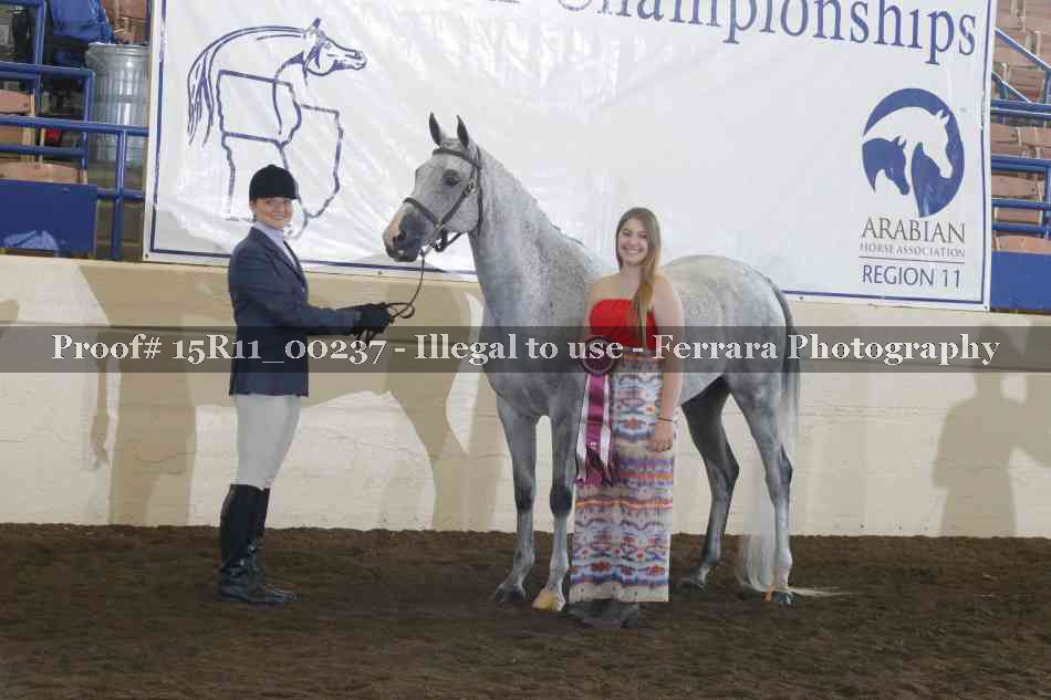 Proof Number 15R11_00237