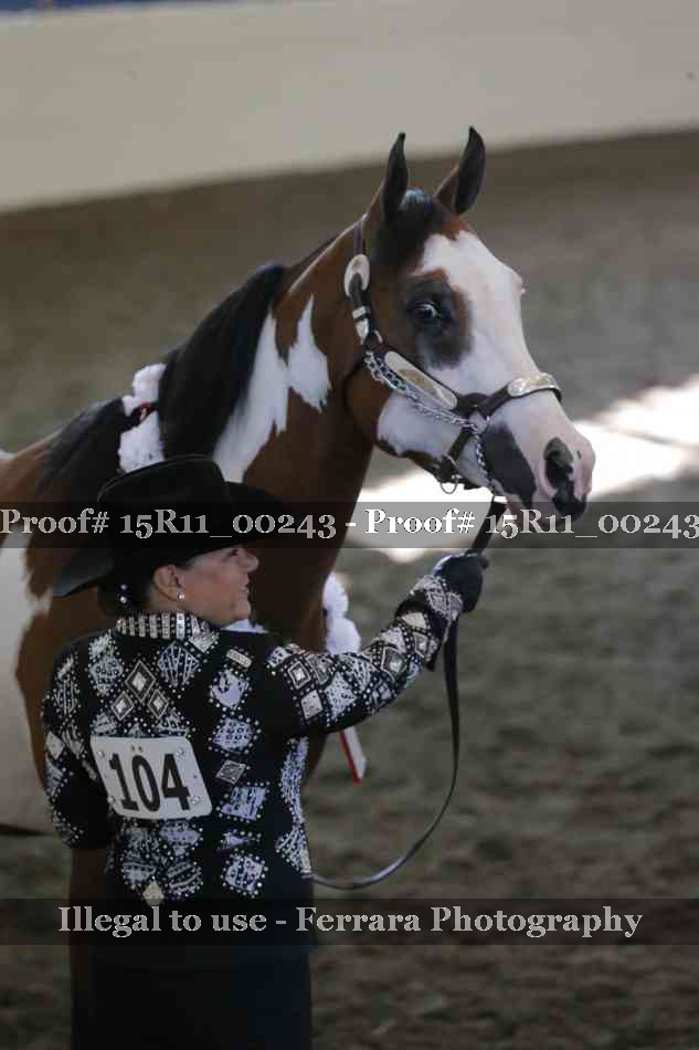 Proof Number 15R11_00243