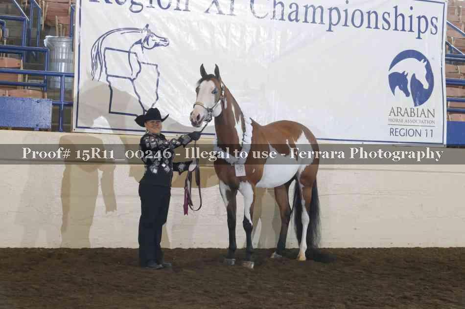 Proof Number 15R11_00246