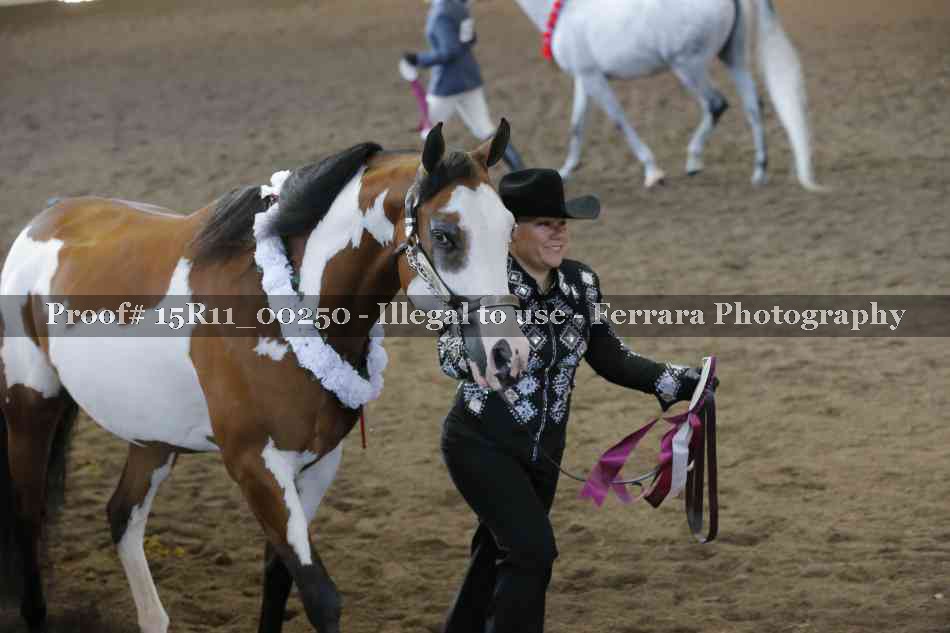 Proof Number 15R11_00250
