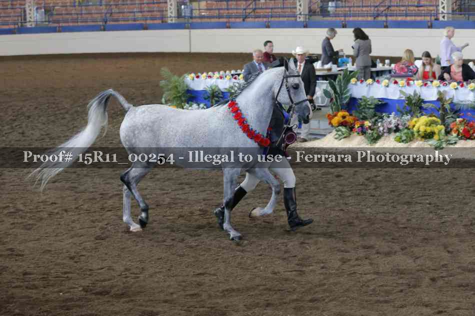 Proof Number 15R11_00254