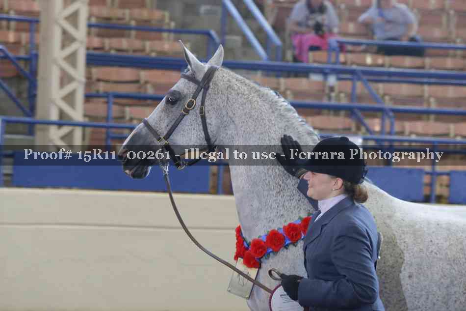 Proof Number 15R11_00261