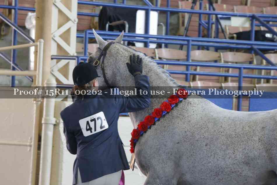 Proof Number 15R11_00262