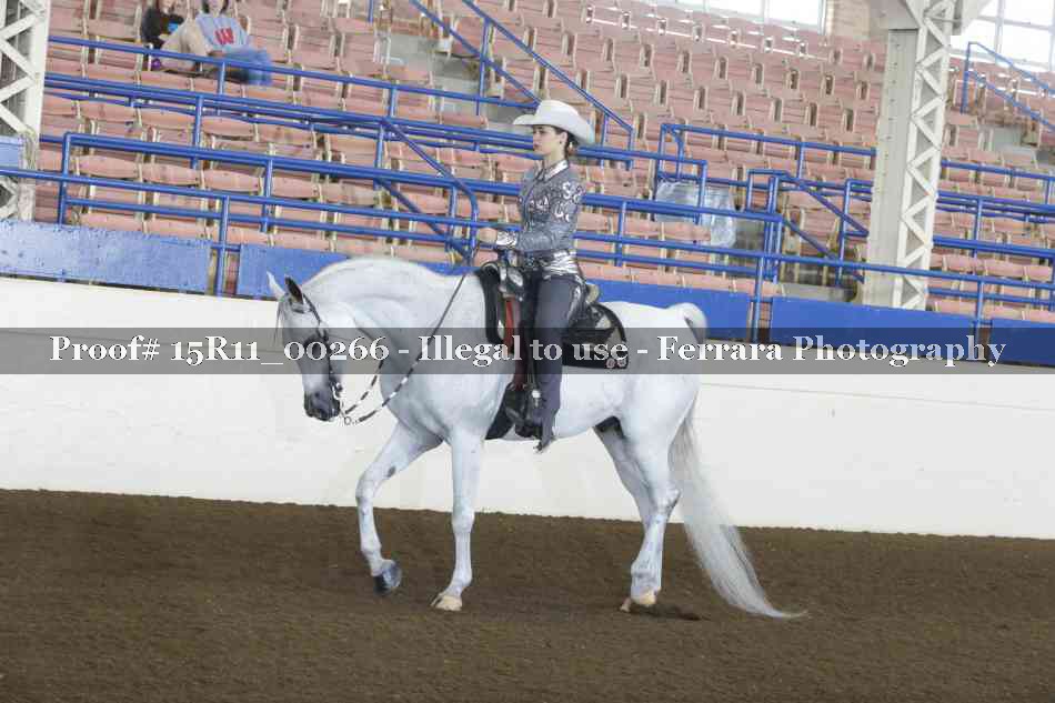 Proof Number 15R11_00266