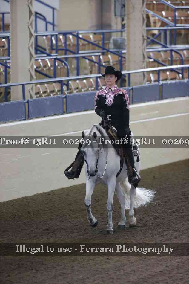 Proof Number 15R11_00269