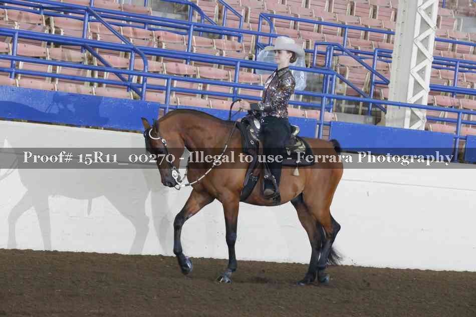 Proof Number 15R11_00270