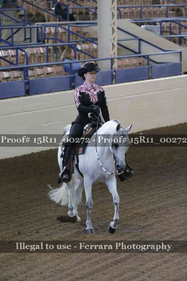 Proof Number 15R11_00272