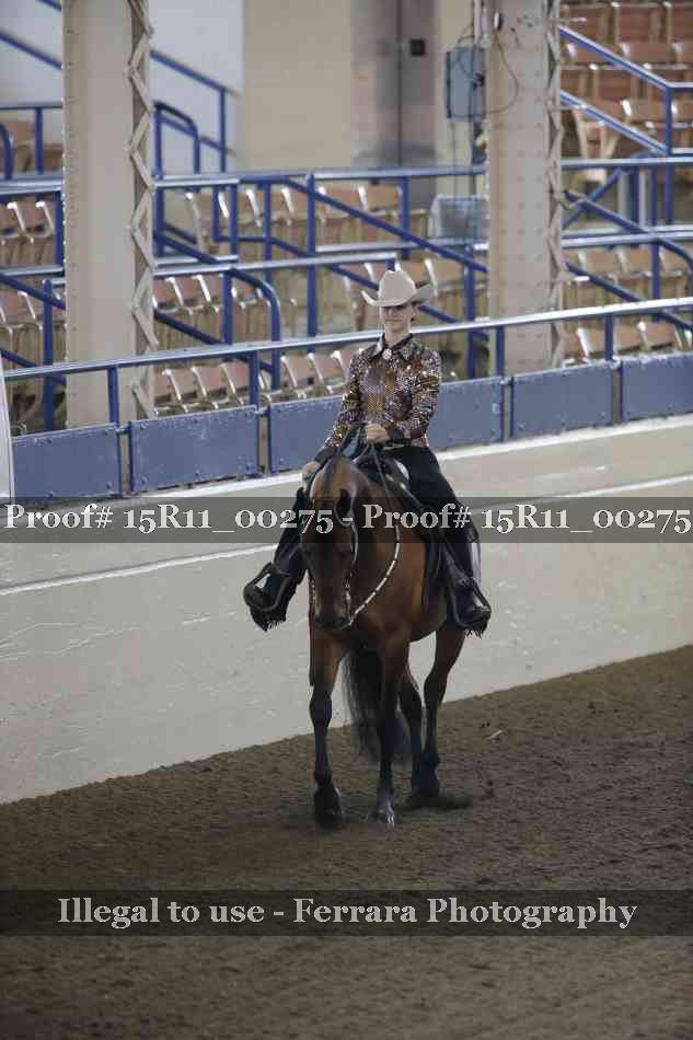 Proof Number 15R11_00275